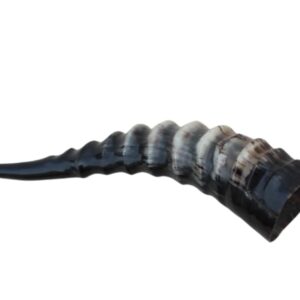 Blesbok (57 cm)