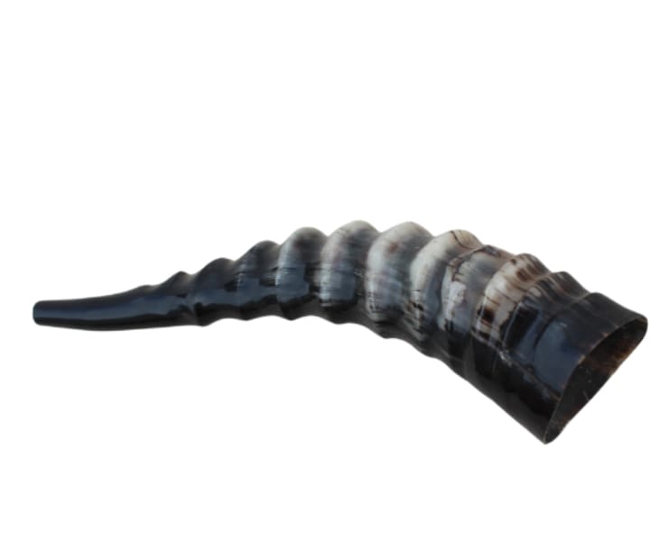 Blesbok (57 cm)