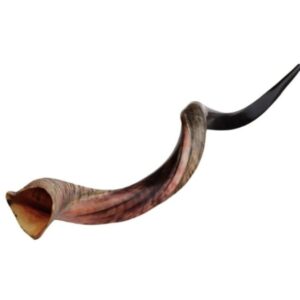 Kudu Horn